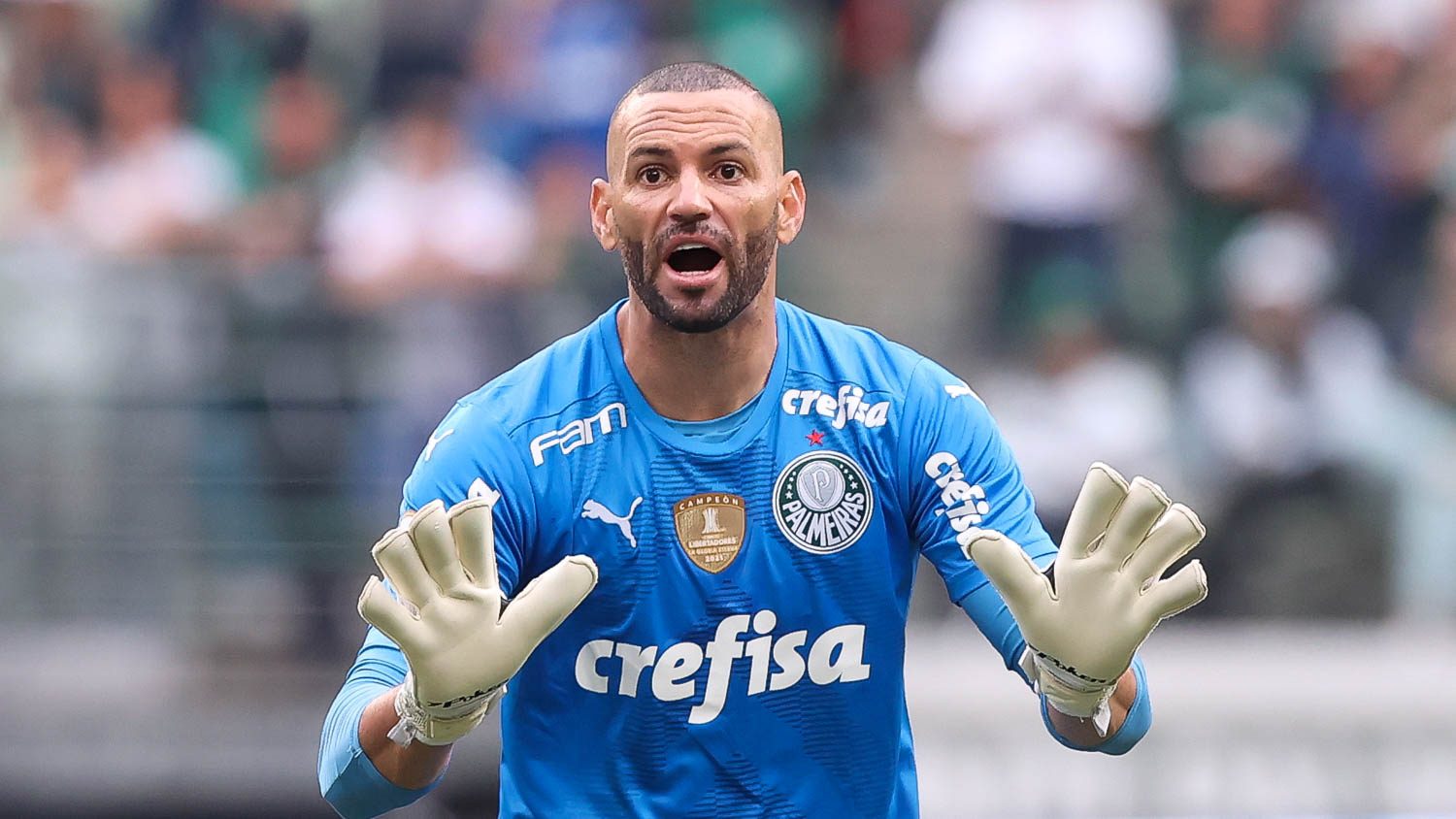SE goalie Weverton Palmeiras, in game against the team of Fluminense FC, during the fifth round of the Brazilian Championship, Series A, in Allianz Park arena.